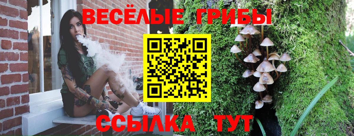 Саранск  Псилоцибиновые грибы ЛСД  Вход с VPN  Псилоцибиновые грибы мухоморы 