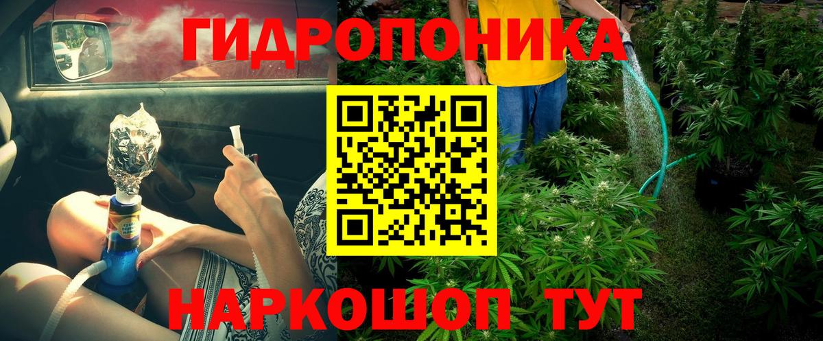 Бошки Шишки планчик Саранск